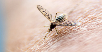 Natique's Approach in Combating Rare Mosquito and Tick-Borne Diseases Across U.S.