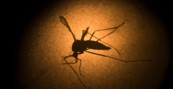 Natique Solutions Helping California Tackle Surge in Mosquito Populations