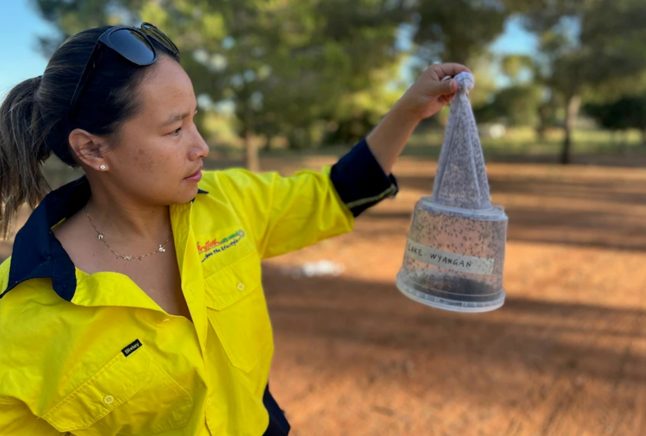 Natique Supports NSW Mosquito Survey with Cutting-edge Trapping Techniques